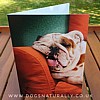 Sofa Bulldog Birthday Card - Avanti